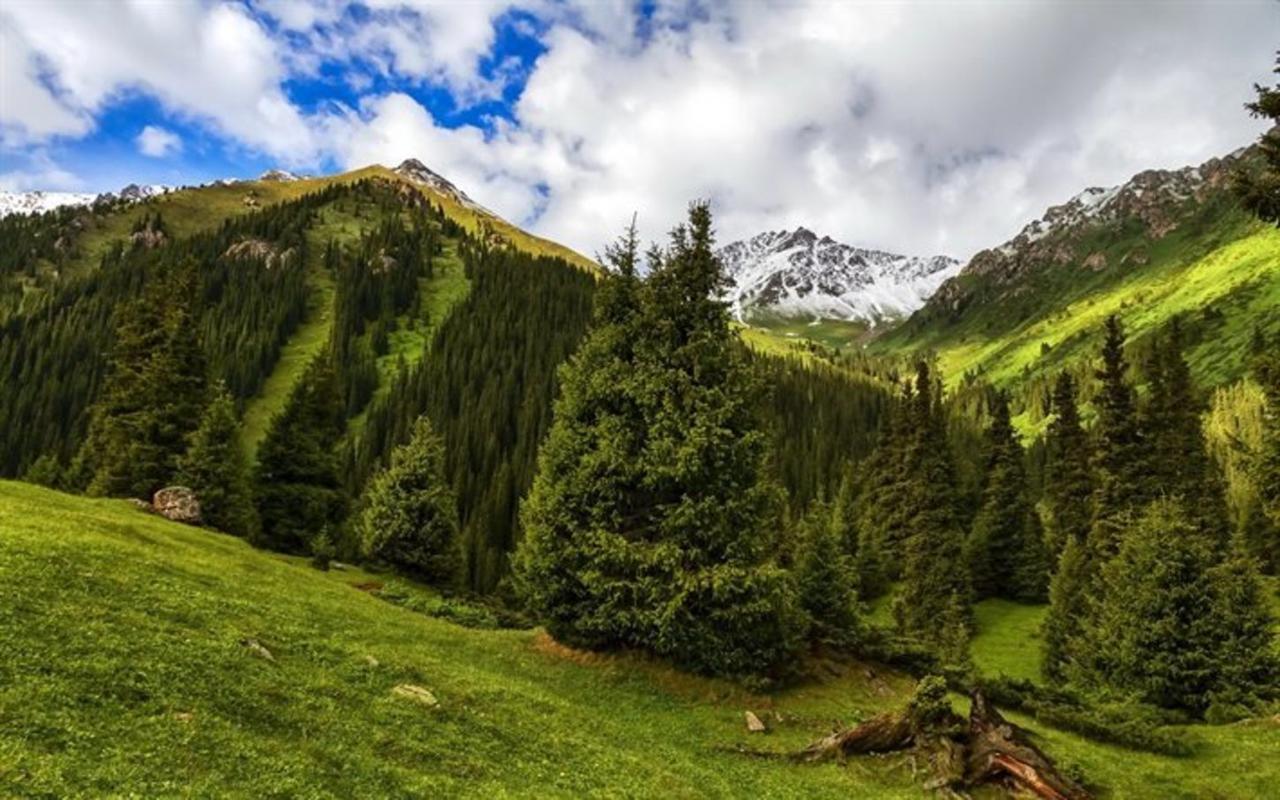 Алтын-Арашан, Путь На Оз,Ала-Куль Teploklyuchenka エクステリア 写真